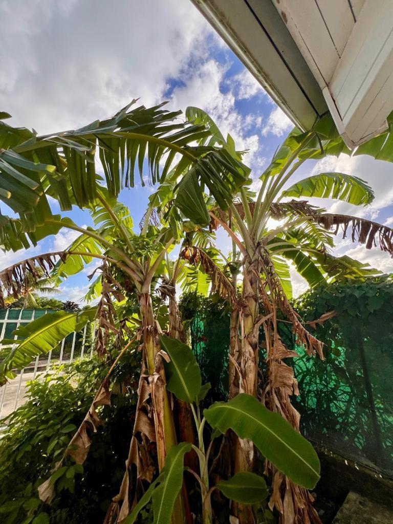 Superbe Villa Bwa Lele Riviere-Salee Экстерьер фото